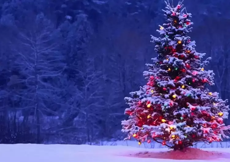 Καιρός: Χριστούγεννα με χιόνια, καταιγίδες και σαρωτικούς ανέμους – Σε εξέλιξη η επέλαση της κακοκαιρίας «Elena»