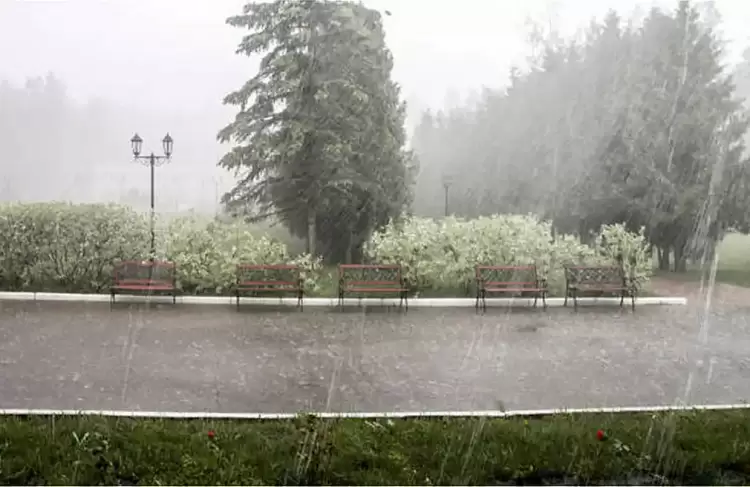 Ο καιρός για την Κατερίνη και την Πιερία σήμερα 02/12/2024: Βροχές και σποραδικές καταιγίδες και χιόνια στα βόρεια ορεινά