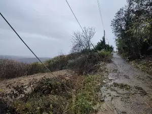 Κατερίνη – Κακοκαιρία Bora: Κλιμάκια της τεχνικής υπηρεσίας του Δήμου αποτυπώνουν το μέγεθος των καταστροφών