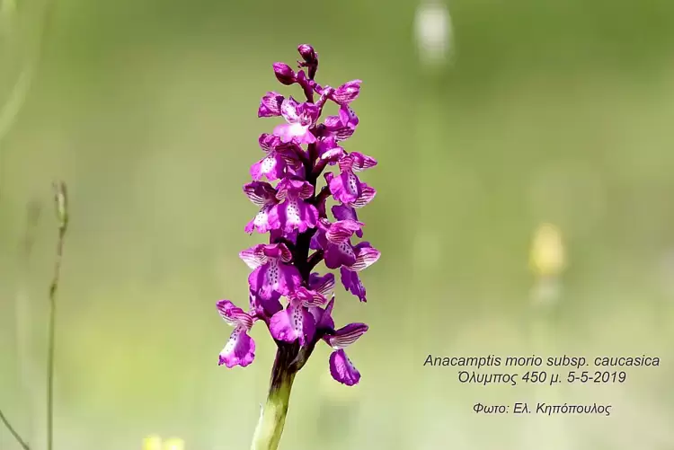 Μουσείο Logic Επιστήμης και Τεχνολογίας – Έκθεση φωτογραφίας και διάλεξη