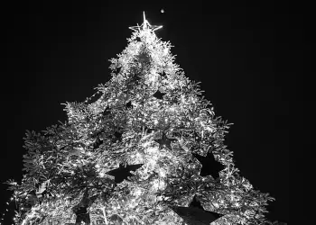 Νύχτα Χριστουγέννων