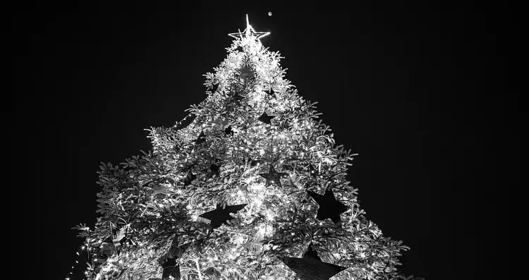 Νύχτα Χριστουγέννων Νύχτα Χριστουγέννων