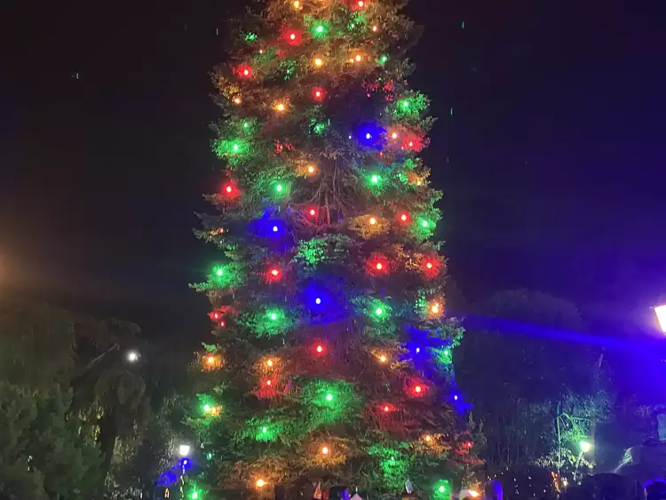 Το «Πάρκο των Χρωμάτων» στην Κατερίνη: Απίστευτος χαμός στην μεγαλειώδη πρεμιέρα - Ξεσήκωσε το πλήθος ο Apon (εικόνες & βίντεο) Το «Πάρκο των Χρωμάτων» στην Κατερίνη: Απίστευτος χαμός στην μεγαλειώδη πρεμιέρα – Ξεσήκωσε το πλήθος ο Apon