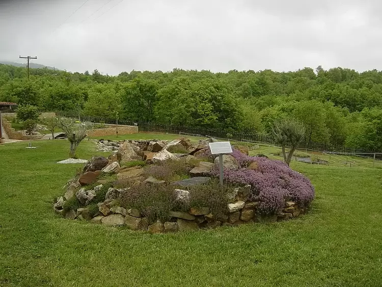 Η Ελλάδα ισχυρή δύναμη στην παγκόσμια αγορά αρωματικών και φαρμακευτικών φυτών