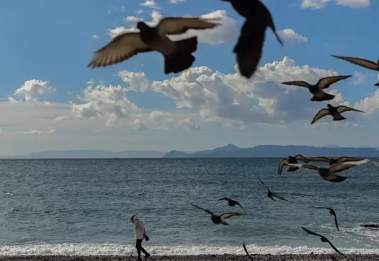 Ο καιρός για την Κατερίνη και την Πιερία σήμερα 18/01/2025: Γενικά αίθριος με τοπικές νεφώσεις