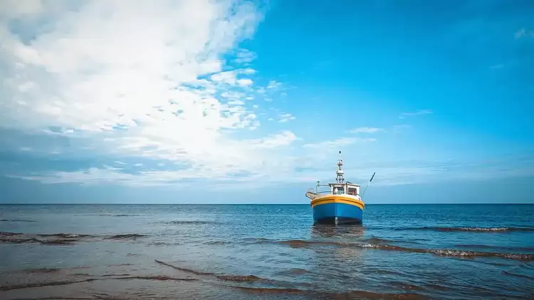 Ο καιρός για την Κατερίνη και την Πιερία σήμερα Παρασκευή, 31 Ιανουαρίου 2025: Λίγες νεφώσεις κατά τόπους αυξημένες