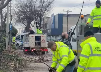Κατερίνη: Άμεση εξυπηρέτηση των δημοτών από την αντιδημαρχία Πρασίνου