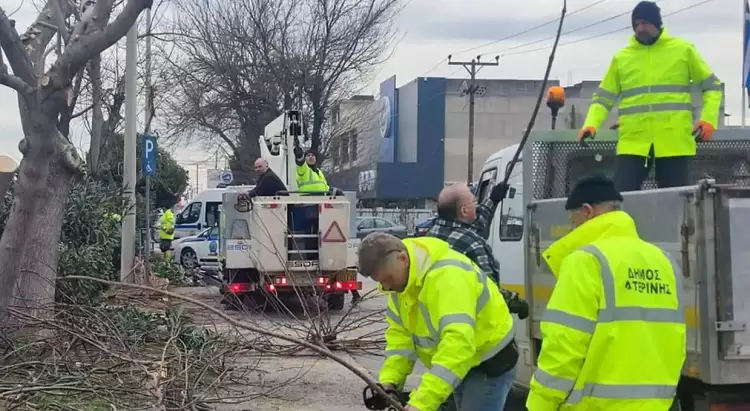 Κατερίνη: Άμεση εξυπηρέτηση των δημοτών από την αντιδημαρχία Πρασίνου Κατερίνη: Άμεση εξυπηρέτηση των δημοτών από την αντιδημαρχία Πρασίνου