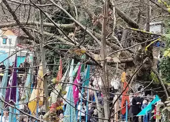 Σίχνα στο Λιτόχωρο.