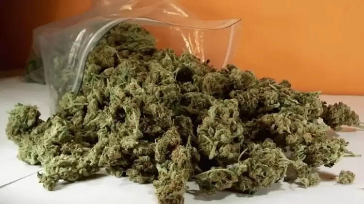 Σύλληψη για ναρκωτικά σε περιοχή της Πιερίας