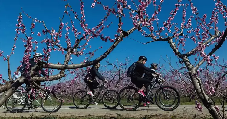Θερμό Φεβρουάριο προβλέπουν τα μετεωρολογικά μοντέλα