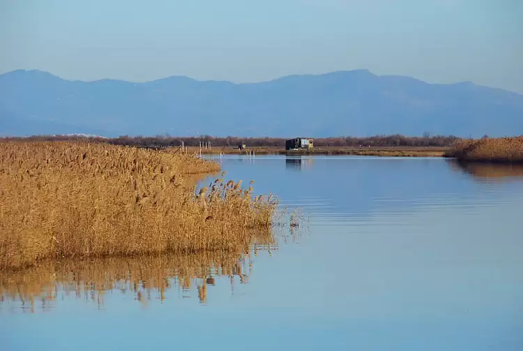 Την Κυριακή 2 Φεβρουαρίου γιορτάζουμε την Παγκόσμια Ημέρα Υγροτόπων στο παρατηρητήριο πουλιών Νέας Αγαθούπολης Την Κυριακή 2 Φεβρουαρίου γιορτάζουμε την Παγκόσμια Ημέρα Υγροτόπων στο παρατηρητήριο πουλιών Νέας Αγαθούπολης