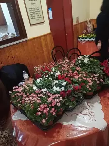 O Φιλόπτωχος Λιτοχώρου «Η Αγία Μαρίνα» έκοψε Βασιλόπιτα