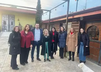 Rebrand Optimize Save: Καινοτομία στη Συσκευασία με Βιώσιμο Προσανατολισμό