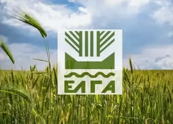 ΕΛΓΑ: Εκτίµηση των ζηµιών από την ανεμοθύελλα της 03/05/2024 σε καλλιέργειες στη Δ.Κ. Λιτοχώρου