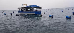 Τα προβλήματα των μυδοκαλλιεργητών της Πιερίας στο επίκεντρο επίσκεψης Ευρωβουλευτών στο λιμάνι Κίτρους (εικόνες - βίντεο) Επιμελητήριο Πιερίας: Τα προβλήματα των μυδοκαλλιεργητών της Πιερίας στο επίκεντρο επίσκεψης Ευρωβουλευτών στο λιμάνι Κίτρους