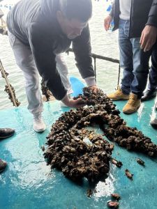 Τα προβλήματα των μυδοκαλλιεργητών της Πιερίας στο επίκεντρο επίσκεψης Ευρωβουλευτών στο λιμάνι Κίτρους (εικόνες - βίντεο) Επιμελητήριο Πιερίας: Τα προβλήματα των μυδοκαλλιεργητών της Πιερίας στο επίκεντρο επίσκεψης Ευρωβουλευτών στο λιμάνι Κίτρους