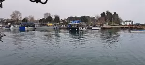 Τα προβλήματα των μυδοκαλλιεργητών της Πιερίας στο επίκεντρο επίσκεψης Ευρωβουλευτών στο λιμάνι Κίτρους (εικόνες - βίντεο) Επιμελητήριο Πιερίας: Τα προβλήματα των μυδοκαλλιεργητών της Πιερίας στο επίκεντρο επίσκεψης Ευρωβουλευτών στο λιμάνι Κίτρους