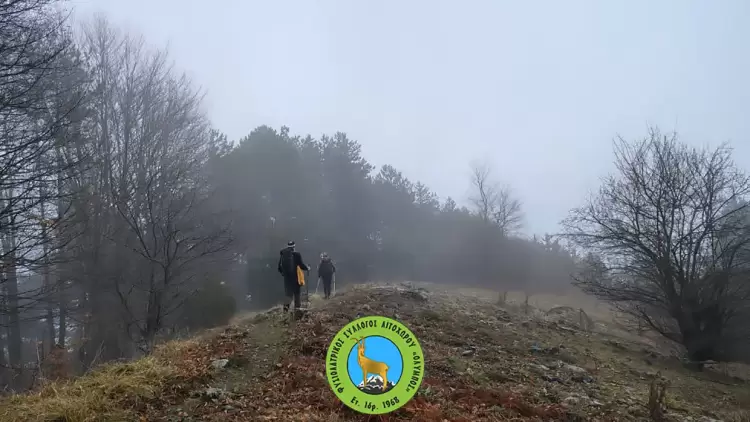 Φυσιολατρικός Σύλλογος Λιτοχώρου «Όλυμπος» - Πρόγραμμα Δραστηριοτήτων Μαρτίου 2025 Φυσιολατρικός Σύλλογος Λιτοχώρου «Όλυμπος» – Πρόγραμμα Δραστηριοτήτων Μαρτίου 2025