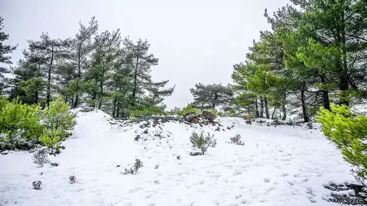 Καιρός: Έρχεται κρύος Φεβρουάριος – Βαρομετρικό χαμηλό θα φέρει μετά την Κυριακή βροχές και χιόνια