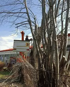 Κατερίνη: Αυτοψία σε παρεμβάσεις της υπηρεσίας Πρασίνου από τον Δήμαρχο Ι.Ντούμο & τον αρμόδιο αντιδήμαρχο Κώστα Τσιουκάνη