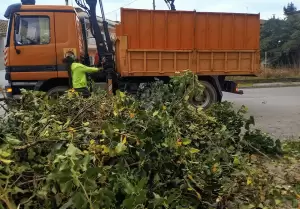 Κατερίνη: Αυτοψία σε παρεμβάσεις της υπηρεσίας Πρασίνου από τον Δήμαρχο Ι.Ντούμο & τον αρμόδιο αντιδήμαρχο Κώστα Τσιουκάνη