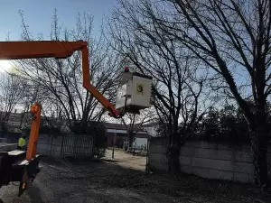 Κατερίνη: Αυτοψία σε παρεμβάσεις της υπηρεσίας Πρασίνου από τον Δήμαρχο Ι.Ντούμο & τον αρμόδιο αντιδήμαρχο Κώστα Τσιουκάνη