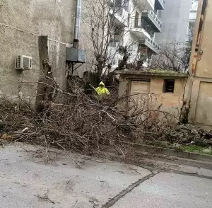 Κατερίνη: Αυτοψία σε παρεμβάσεις της υπηρεσίας Πρασίνου από τον Δήμαρχο Ι.Ντούμο & τον αρμόδιο αντιδήμαρχο Κώστα Τσιουκάνη