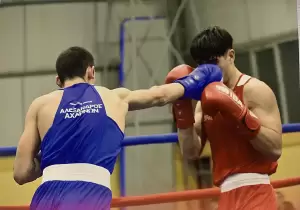 Πανελλήνιες επιτυχίες για τους Κατερινιώτες αθλητές του Maximum Combat Sports και ΑΣ Αλέξανδρος Αχαρνών Πανελλήνιες επιτυχίες για τους Κατερινιώτες αθλητές του Maximum Combat Sports και ΑΣ Αλέξανδρος Αχαρνών