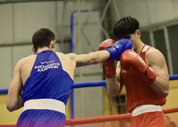 Πανελλήνιες επιτυχίες για τους Κατερινιώτες αθλητές του Maximum Combat Sports και ΑΣ Αλέξανδρος Αχαρνών