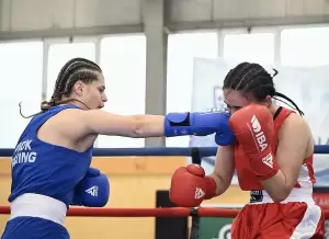 Πανελλήνιες επιτυχίες για τους Κατερινιώτες αθλητές του Maximum Combat Sports και ΑΣ Αλέξανδρος Αχαρνών Πανελλήνιες επιτυχίες για τους Κατερινιώτες αθλητές του Maximum Combat Sports και ΑΣ Αλέξανδρος Αχαρνών