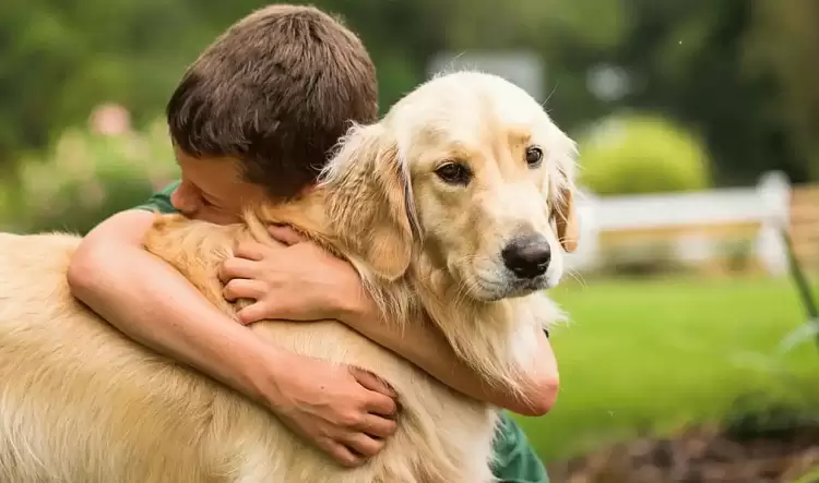 Σχολεία: Μαθήματα φιλοζωίας και υπεύθυνης ιδιοκτησίας ζώων συντροφιάς