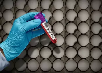 Eνημέρωση για τη γρίπη των πτηνών από την Διεύθυνση Κτηνιατρικής Περιφέρειας Κεντρικής Μακεδονίας