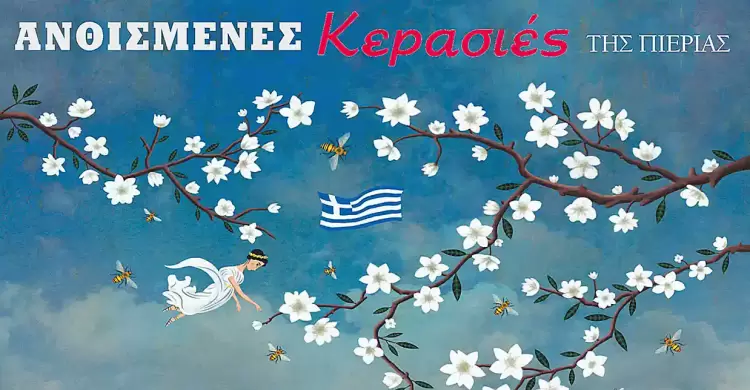 Ανθισμένες Κερασιές της Πιερίας: