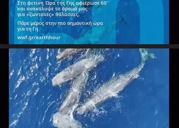 Ο Δήμος Κατερίνης συμμετέχει στην «Ώρα της Γης» Ο Δήμος Κατερίνης συμμετέχει στην «Ώρα Της Γης»