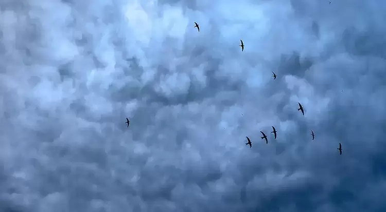 Καιρός: Ισχυρές βροχές και καταιγίδες μέχρι το πρωί της Τετάρτης – Έκτακτο δελτίο επιδείνωσης καιρού Καιρός: Ισχυρές βροχές και καταιγίδες μέχρι το πρωί της Τετάρτης – Έκτακτο δελτίο επιδείνωσης καιρού