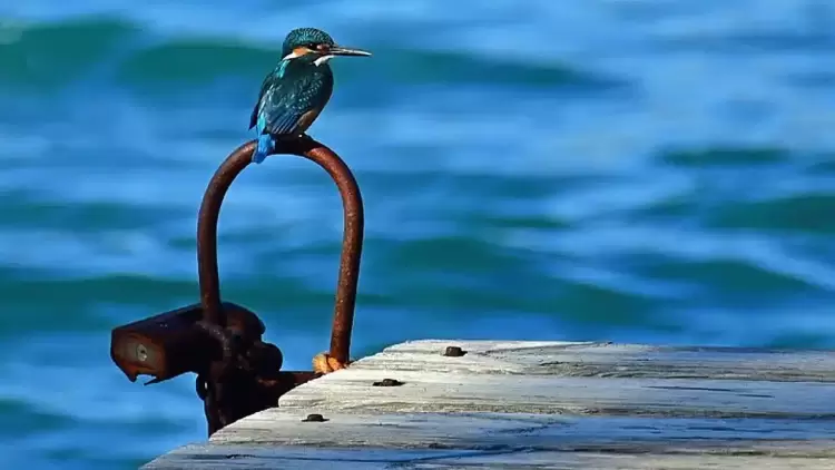 Ο καιρός σε Κατερίνη και Πιερία σήμερα Σάββατο, 01 Μαρτίου 2025: Λίγες νεφώσεις με πιθανότητα τοπικών βροχών