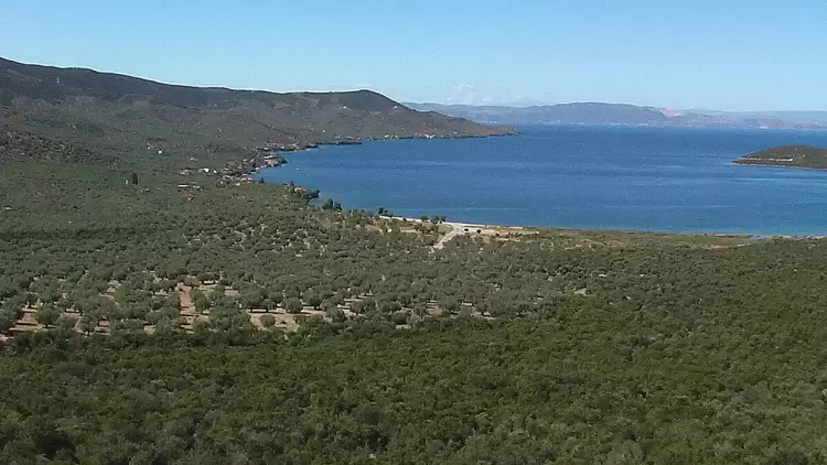 Ο καιρός σε Κατερίνη και Πιερία σήμερα Σάββατο, 08 Μαρτίου 2025: Γενικά αίθριος με αραιές νεφώσεις