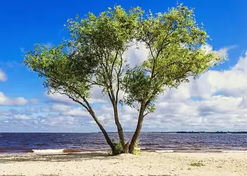 Ο καιρός σε Κατερίνη και Πιερία σήμερα Τετάρτη, 05 Μαρτίου 2025: Γενικά αίθριος με άνοδο της θερμοκρασίας