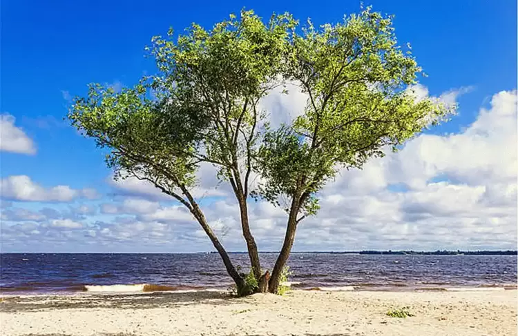 Ο καιρός σε Κατερίνη και Πιερία σήμερα Τετάρτη, 05 Μαρτίου 2025: Γενικά αίθριος με άνοδο της θερμοκρασίας