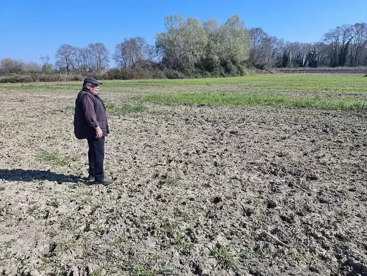 Καταγγελία Αχιλλέα Φαρμάκη: Ο ΕΛΓΑ αδιαφορεί για τις καλλιέργειες σίτου στο Βαρυκό Πιερίας Καταγγελία Αχιλλέα Φαρμάκη: Ο ΕΛΓΑ αδιαφορεί για τις καλλιέργειες σίτου στο Βαρυκό Πιερίας