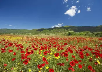 Η Λήμνος την άνοιξη