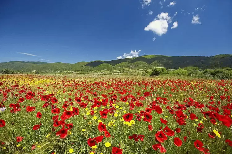 Η Λήμνος την άνοιξη Η Λήμνος την άνοιξη