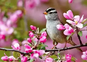 Μάρτης, γδάρτης και κακός παλουκοκαύτης