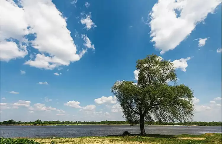 Πώς είναι ο καιρός σε Κατερίνη και Πιερία σήμερα Παρασκευή, 21 Μαρτίου 2025: Γενικά αίθριος με άνοδο της θερμοκρασίας Πώς είναι ο καιρός σε Κατερίνη και Πιερία σήμερα Παρασκευή, 21 Μαρτίου 2025: Γενικά αίθριος με άνοδο της θερμοκρασίας