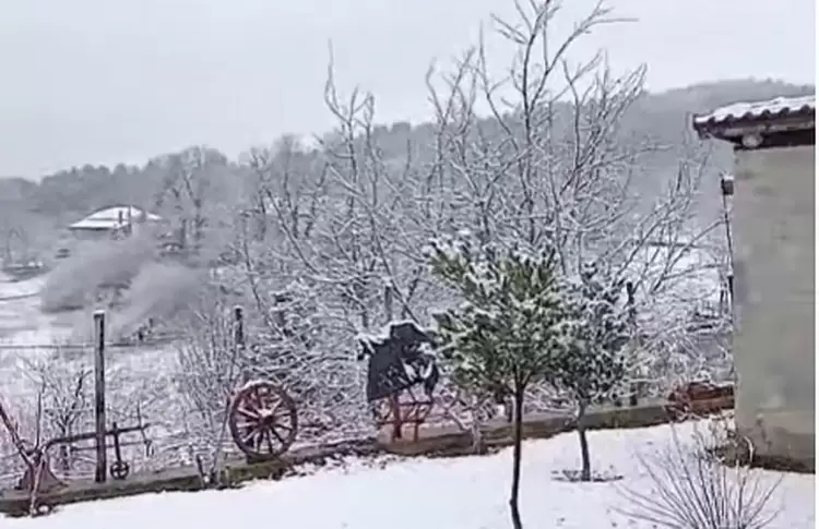 Χιονίζει στην Άνω Μηλιά Πιερίας (βίντεο)