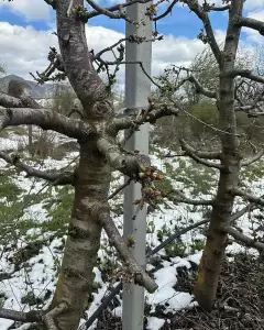 Άμεση κοινοβουλευτική παρέμβαση του Σπύρου Κουλκουδίνα για την οικονομική στήριξη των αγροτών που υπέστησαν ζημιές Άμεση κοινοβουλευτική παρέμβαση του Σπύρου Κουλκουδίνα για την οικονομική στήριξη των αγροτών που υπέστησαν ζημιές