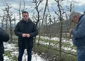 Άμεση κοινοβουλευτική παρέμβαση του Σπύρου Κουλκουδίνα για την οικονομική στήριξη των αγροτών που υπέστησαν ζημιές