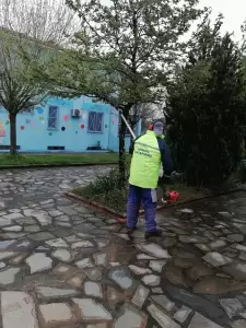 Διαρκής η φροντίδα του Δήμου Κατερίνης για το πράσινο – Συνεχίζονται εντατικά οι παρεμβάσεις