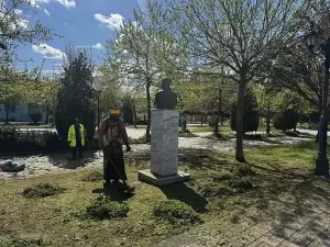 Διαρκής η φροντίδα του Δήμου Κατερίνης για το πράσινο – Συνεχίζονται εντατικά οι παρεμβάσεις